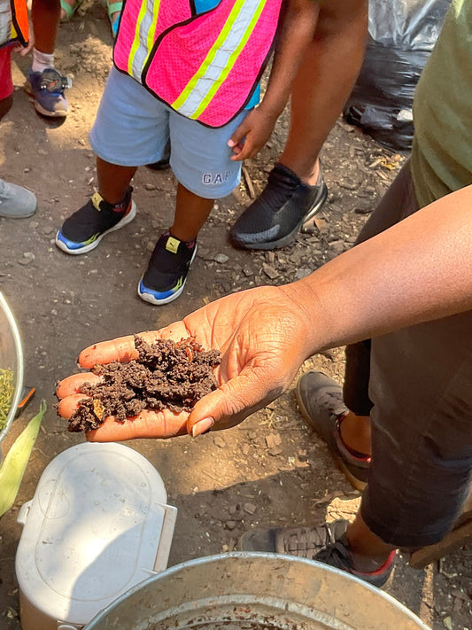 Composting Sorting Game