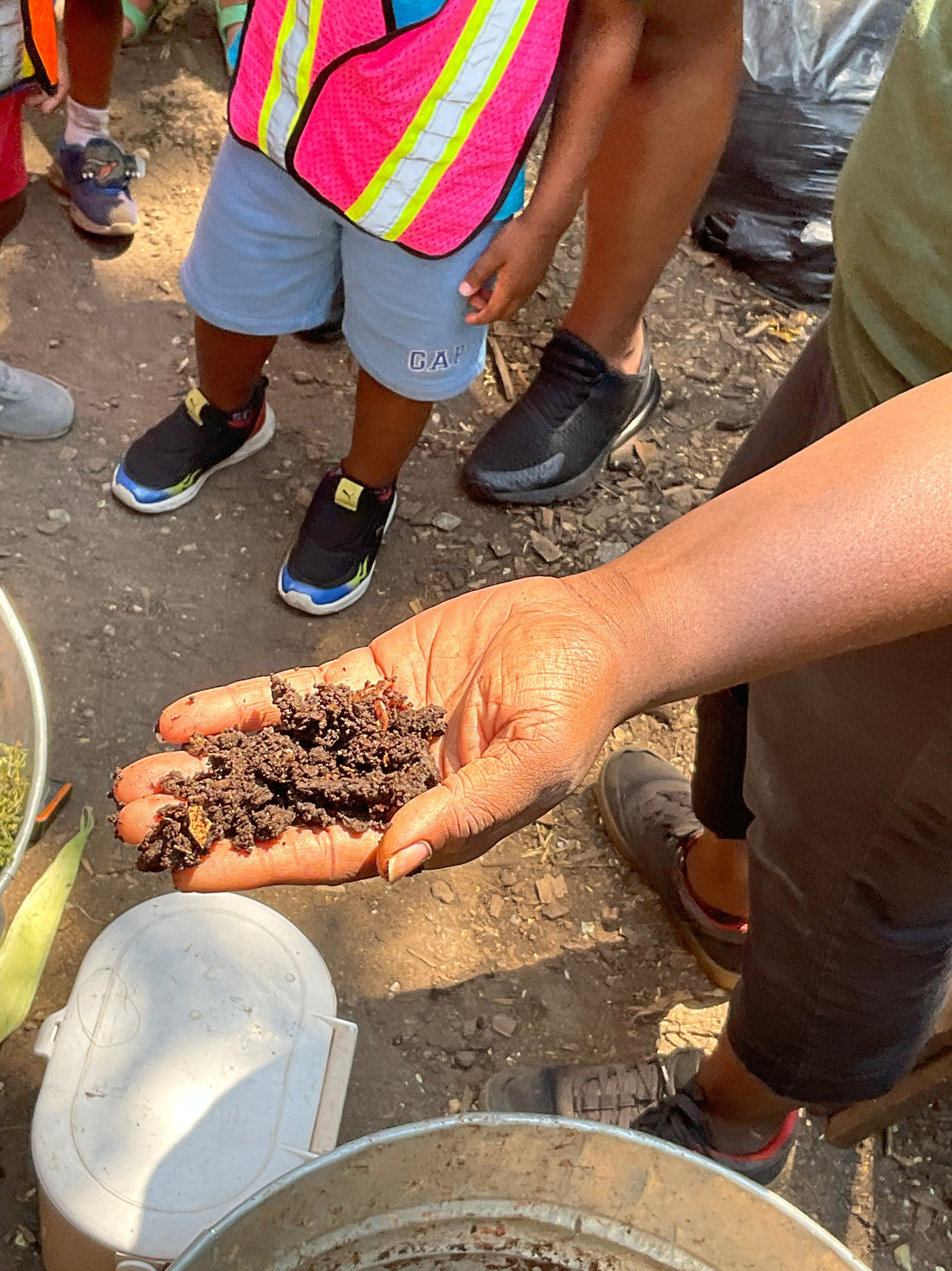 Composting Sorting Game